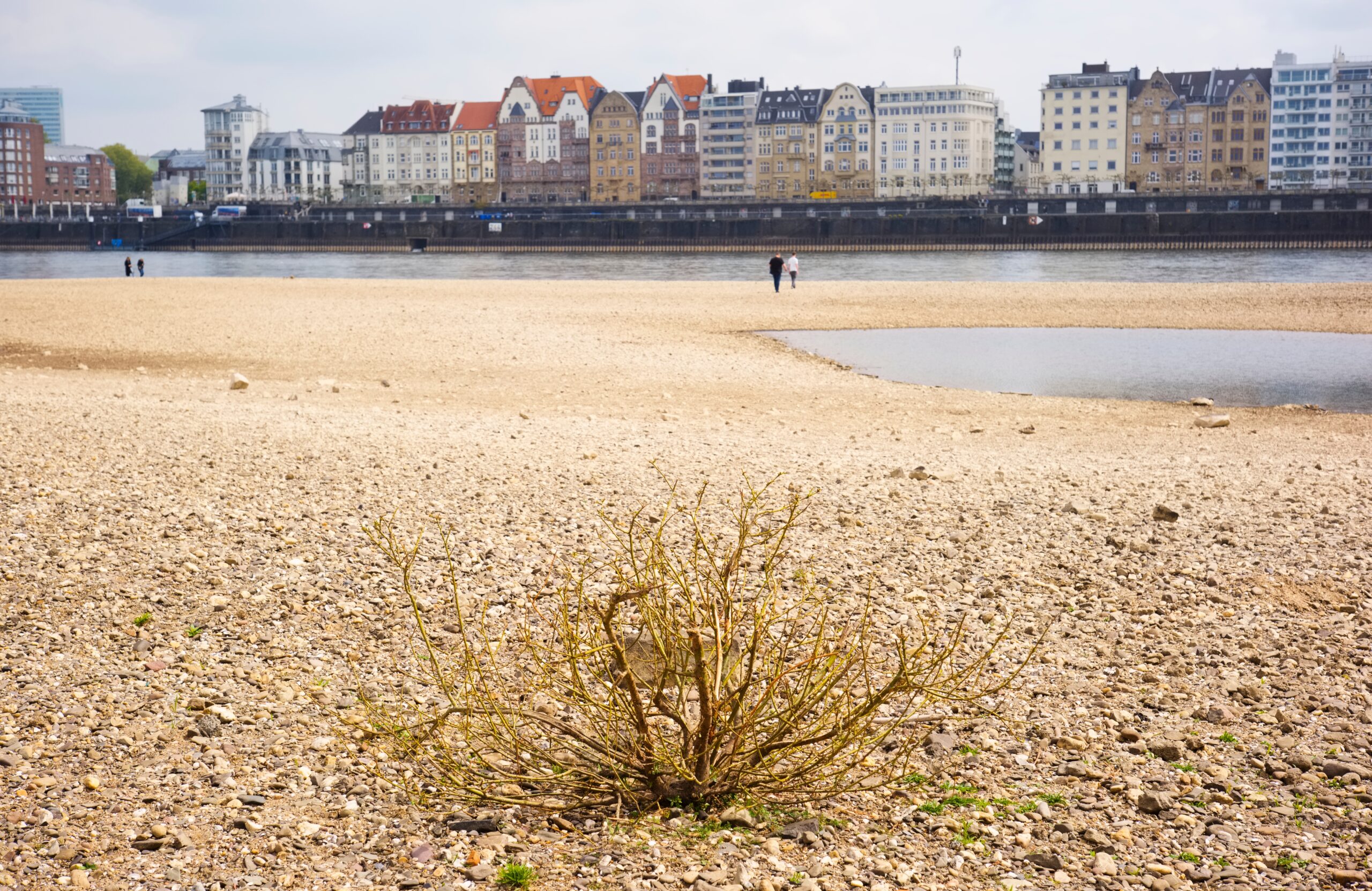 shutterstock_2629757795-scaled.jpg